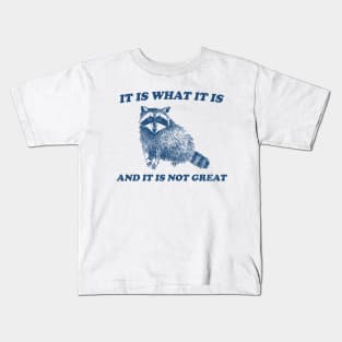 It Is What It Is And It Is Not Great, Funny Sweatshirt, Raccoon Sweatshirt, Cartoon Meme Top, Vintage Cartoon Kids T-Shirt